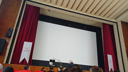 Zile Saray Sineması